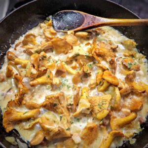 Creamy chanterelles